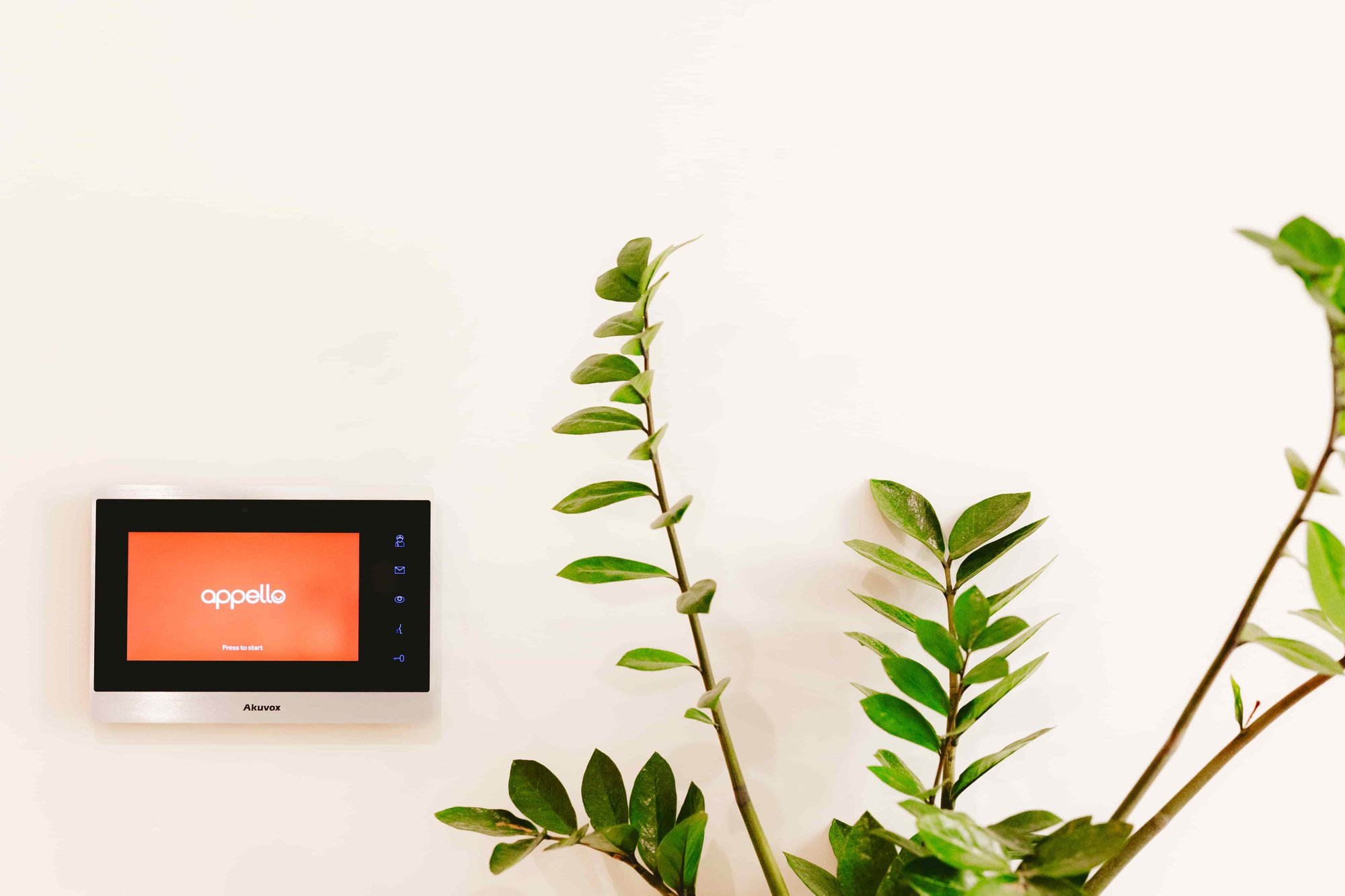 Warden call system on the wall next to large plant.