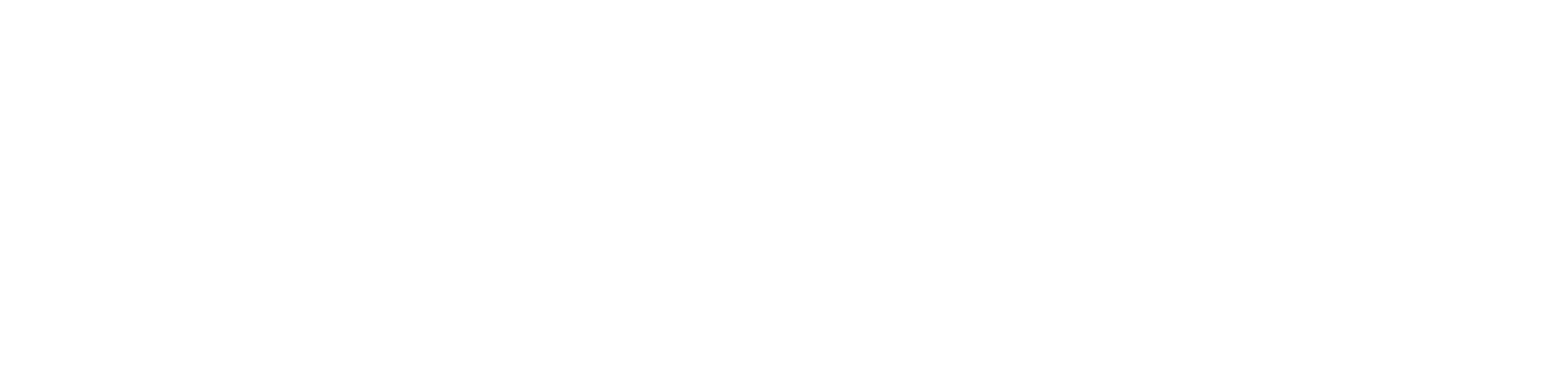 Firstport_landscape_white