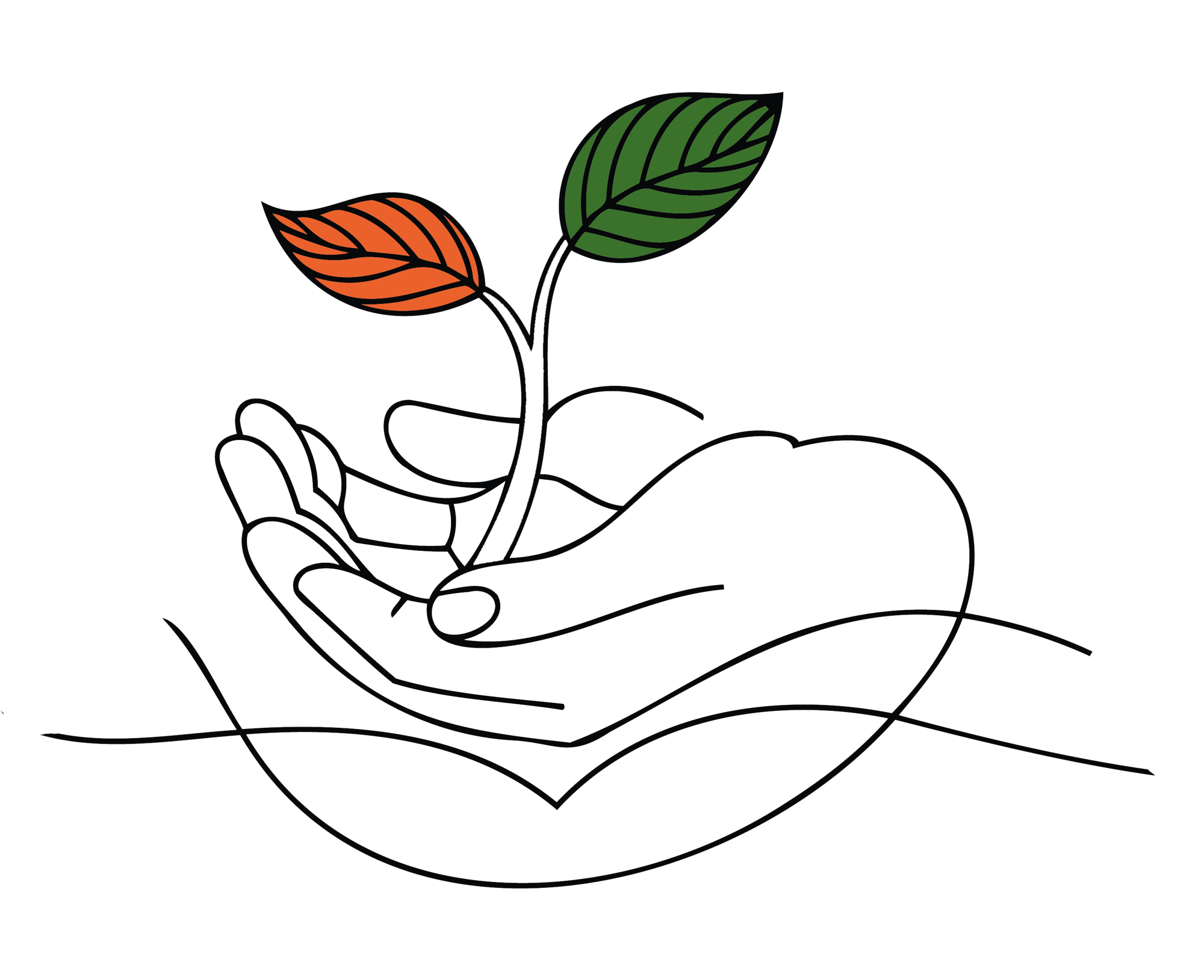 PlantTheAppelloWay - line drawing with leaves v3 PlantTheAppelloWay - line drawing with leaves v3